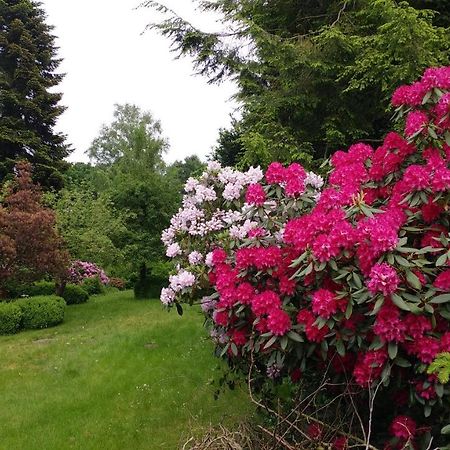 Ferienwohnung Gartenblick 워프스위드 외부 사진